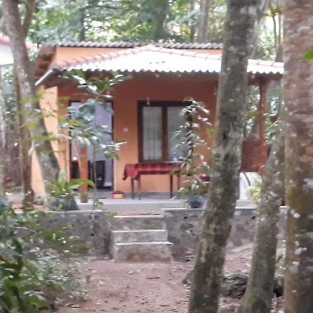 Freedom Villa Hiriketiya Dikwella Sur Habitación foto