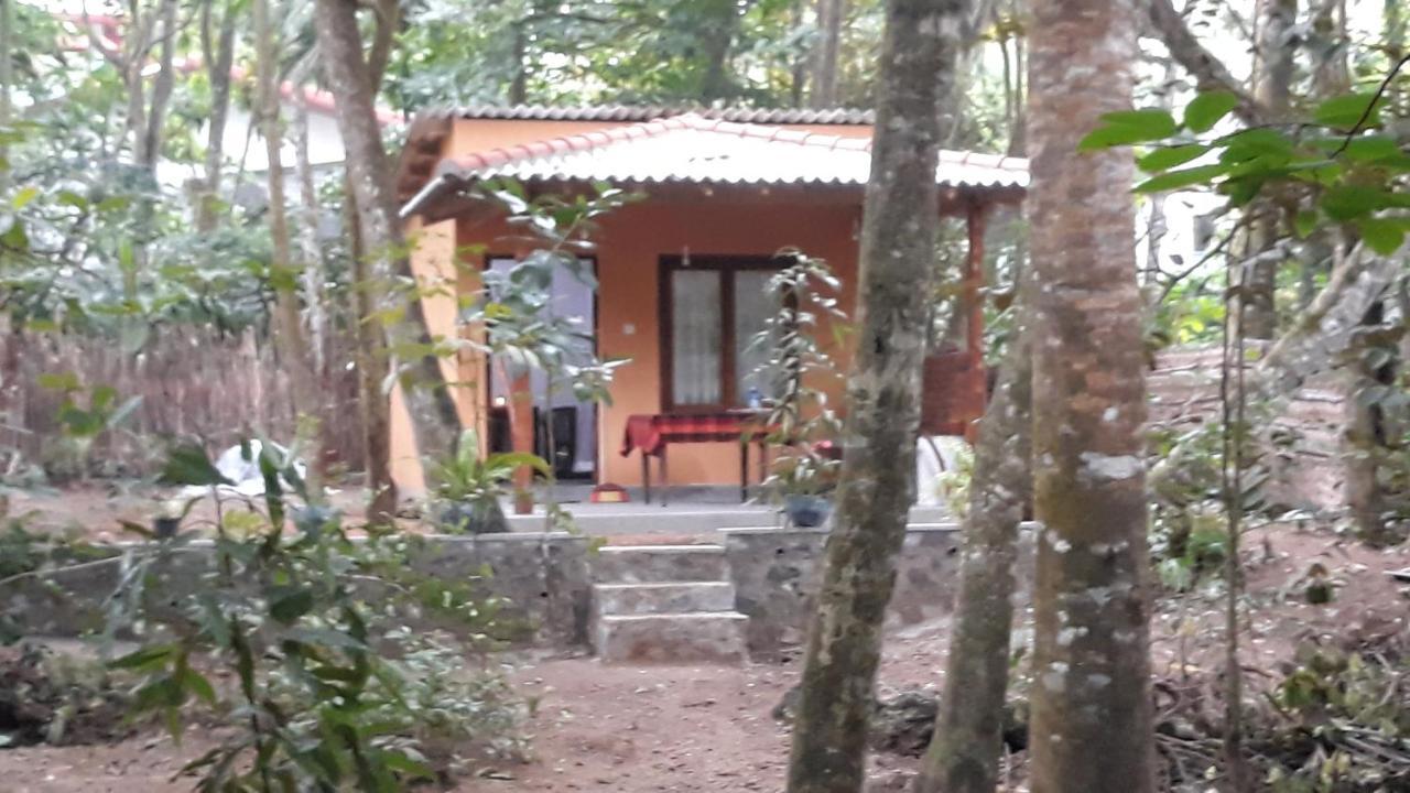 Freedom Villa Hiriketiya Dikwella Sur Habitación foto